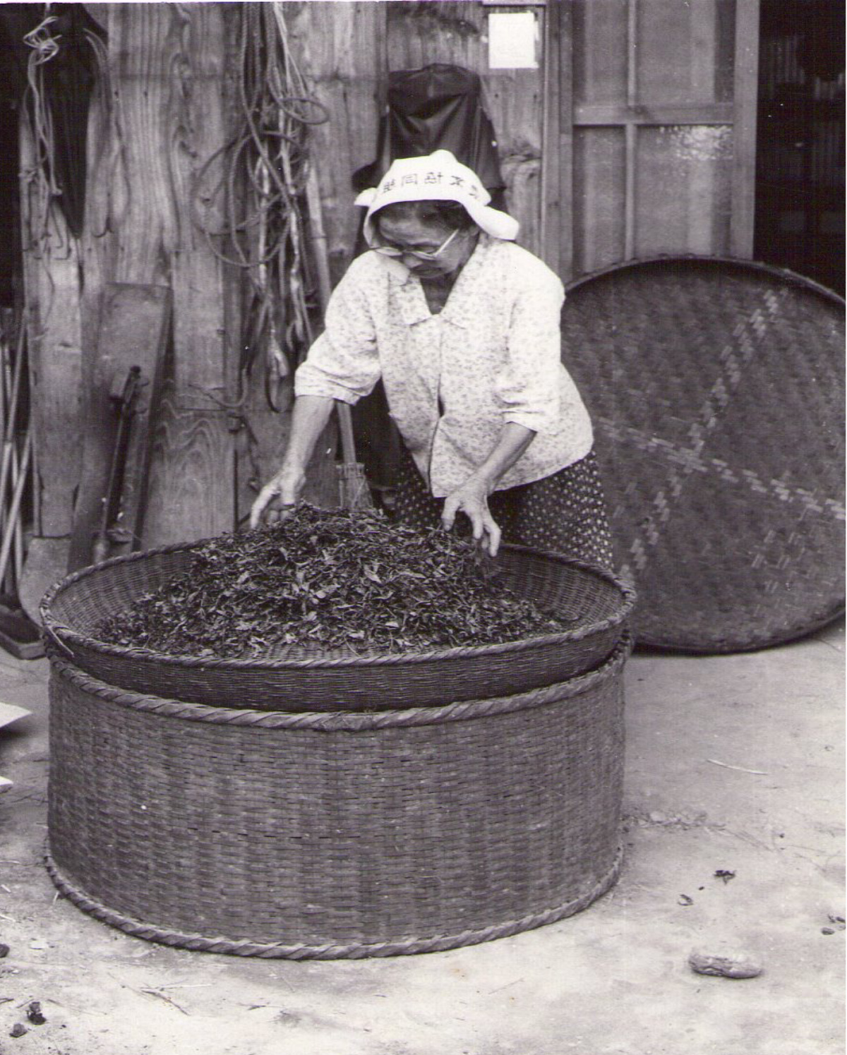 昭和30年頃のお茶づくりの光景
